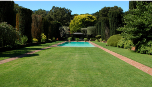 Screenshot Capture - 2026-01-21 - 23-03-57